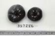 Click for 1 image(s) for this accession. FRUIT